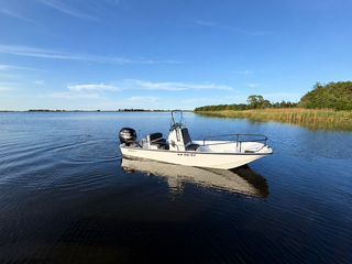 Boot met trailer, Boston Whaler, Montauk 17 Mercury 115 pk, 2017