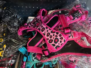2x Inhoud stellingvak w.o. accessoires voor honden W.o. Sharon