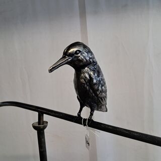 RVS Wiebel, Vogels
