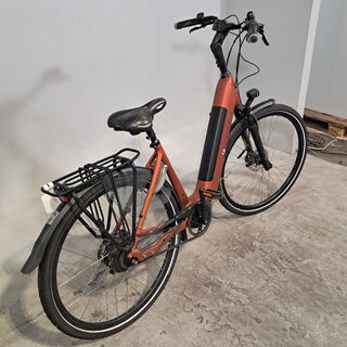 Elektrische damesfiets, RIH