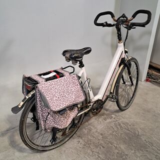 Elektrische damesfiets, Sparta, Ion GL+