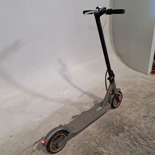 Elektrische step, Seemar