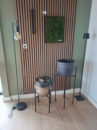 Diverse decoratie en verlichting
