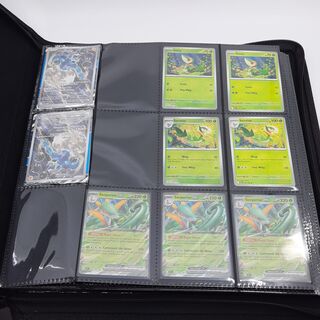 Verzamelmap met kaarten, Pokémon, o.a. Serperior EX BLK EN 003/086