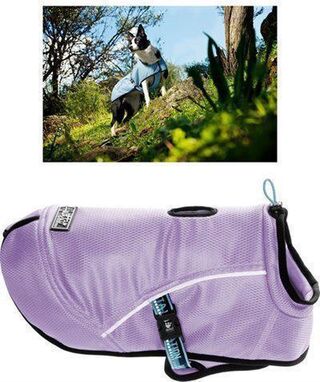 3x Honden cooling coat, lila, 75 cm