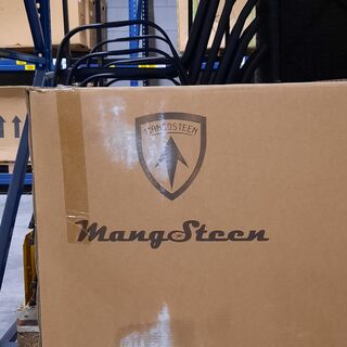 Elektrische scooter, Mangosteen, M1, E-3-M1P-MR