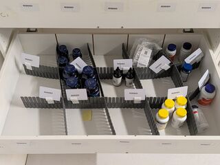Diverse Supplementen, O.a. Now, Life Extension, Healthy Origins