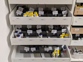 Diverse Supplementen, O.a. Now, Life Extension, Healthy Origins