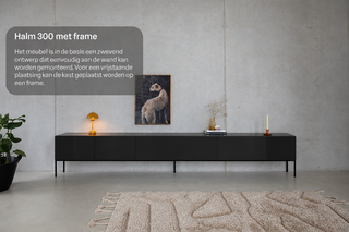 Tv-meubel incl. frame zwart, RAAT, Halm 300, Zwart