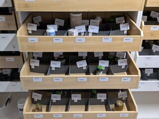 Diverse Supplementen, O.a. Mattison, Solgar, Nature’s Way