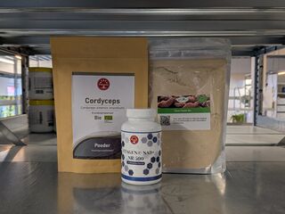 Diverse gedroogde poeders & capsules, O.a. Vitanics, Purason
