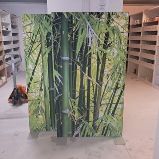 2x Privacy Scherm, Bamboe-print