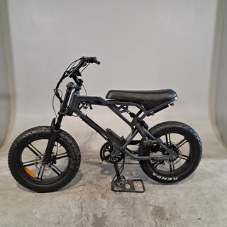 Fatbike