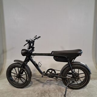 Fatbike