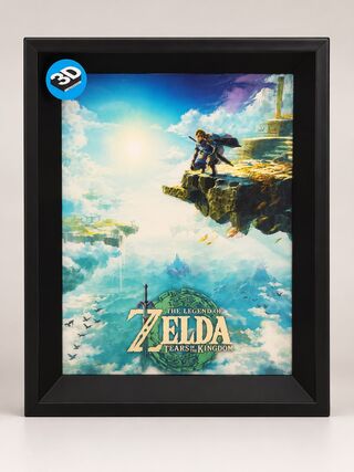 6x (3D) Poster inclusief lijst Zelda/StarWars