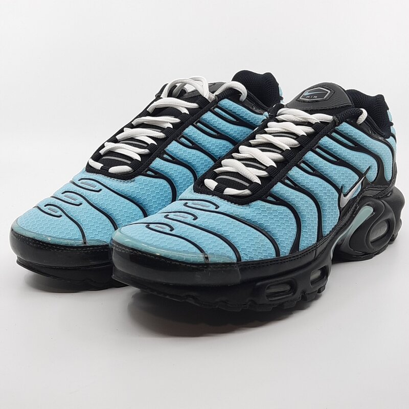 nike air max plus 42