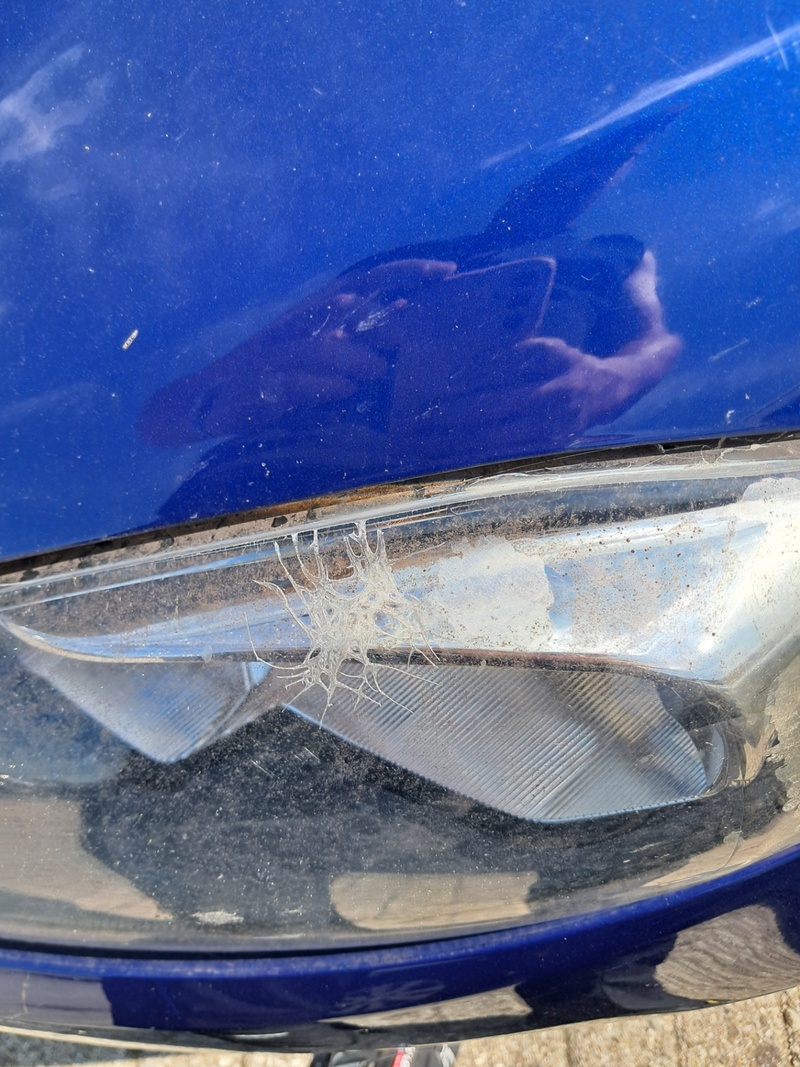 Personenauto, Ford, Fiesta, 1.6 TDCi Style, 2014 – foto 7 – kavel bij Domeinen Roerende Zaken, Soesterberg