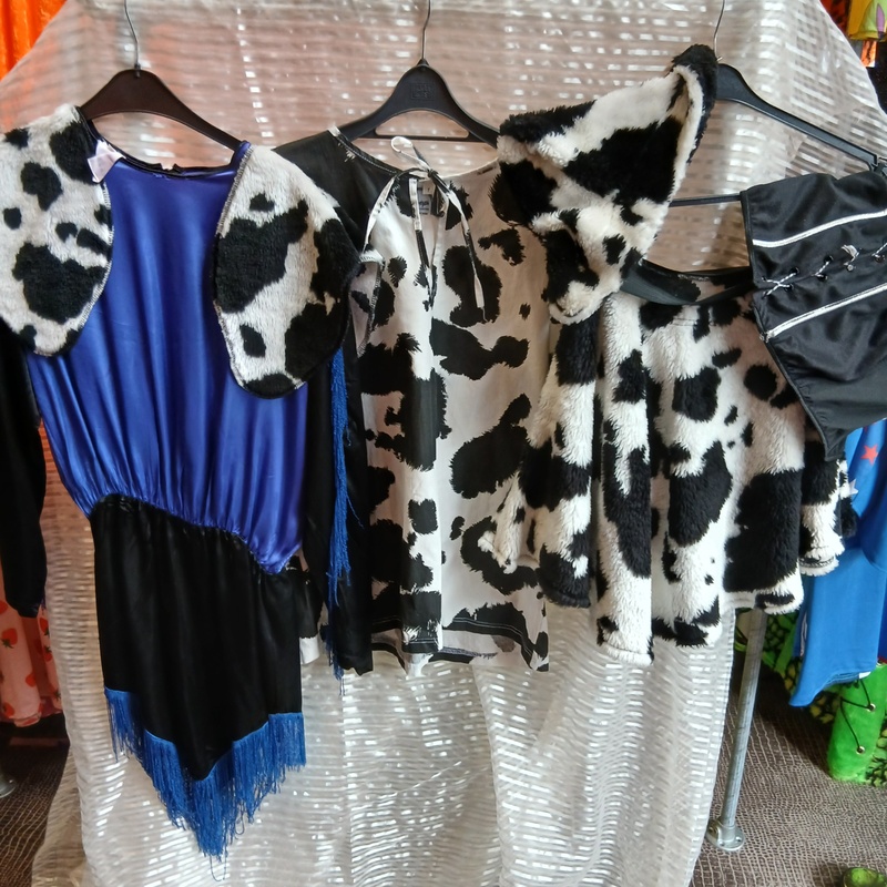 Ca. 48x Cowboy en indianen feestkleding – foto 4 – kavel bij Onlineveilingmeester, Drachten