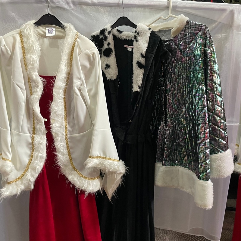 Ca. 75x Sprookjes outfits – foto 3 – kavel bij Onlineveilingmeester, Drachten