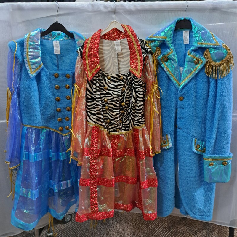 Ca. 42x Carnaval man/vrouw – foto 3 – kavel bij Onlineveilingmeester, Drachten