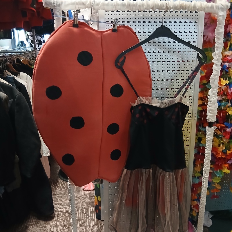 Ca. 21x Partij verkleedkleding – foto 4 – kavel bij Onlineveilingmeester, Drachten