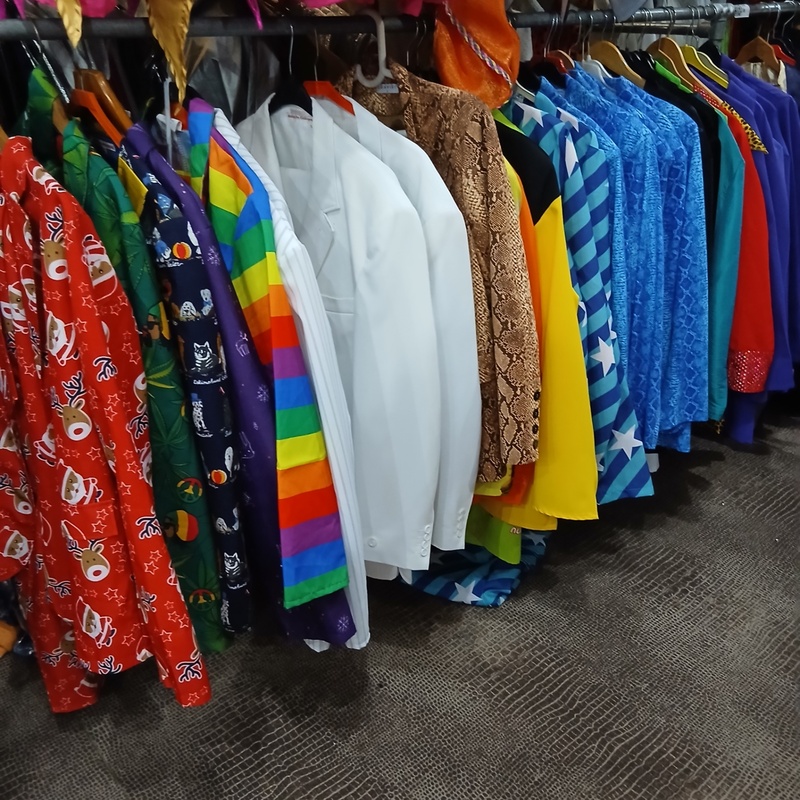 Ca. 37x Carnaval en feestpakken – kavel bij Onlineveilingmeester, Drachten