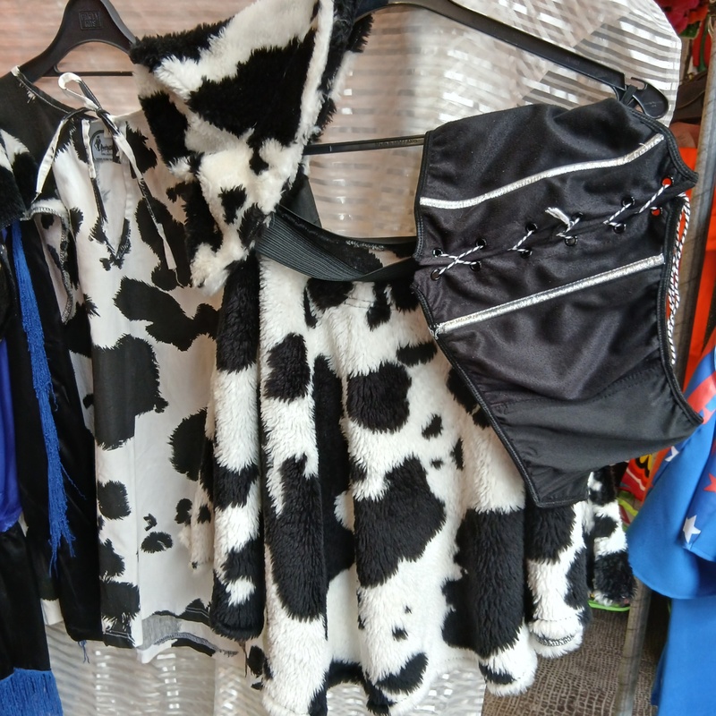 Ca. 48x Cowboy en indianen feestkleding – foto 6 – kavel bij Onlineveilingmeester, Drachten