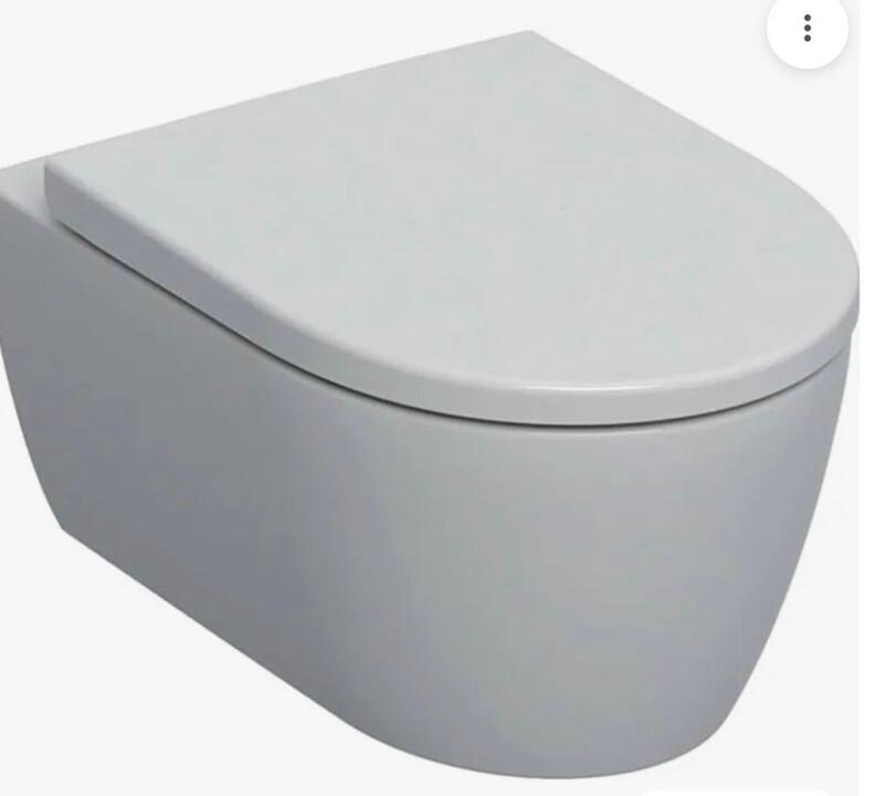 Wandcloset, rimfree + toiletzitting Geberit, 1Con, wit
