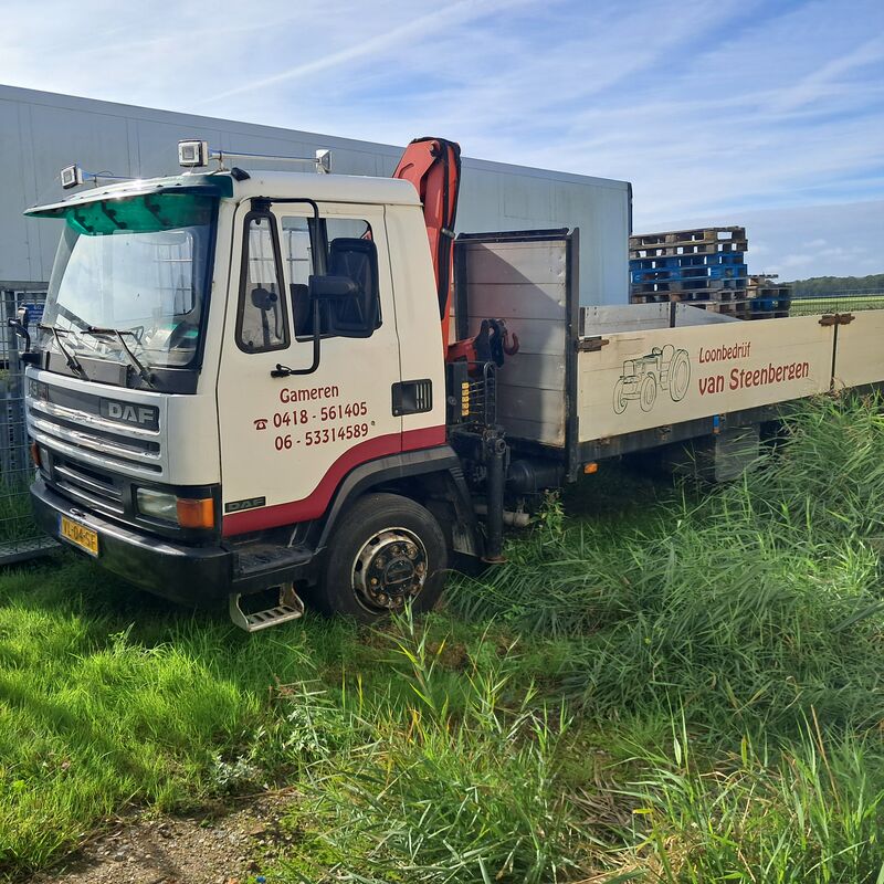 Vrachtwagen, DAF, AE45CE, 1991, met Ferrari F 545A2 autolaadkraan