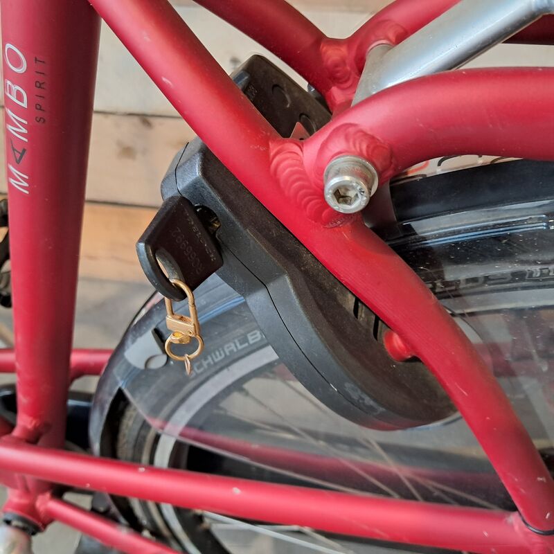 Damesfiets, Batavus, Mambo Spirit, Rood – foto 8 – kavel bij Onlineveilingmeester, Heerenveen