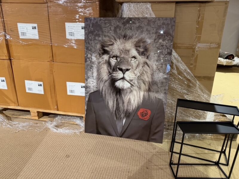 Schilderij gehard glas Leeuw roos Homebound