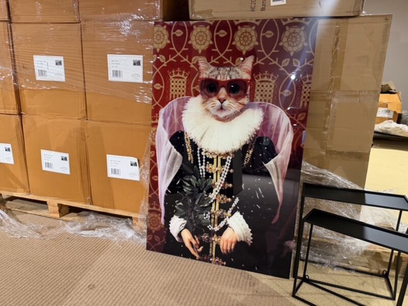 Schilderij gehard glas Fancy cat Homebound