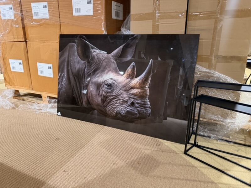 Schilderij gehard glas Neushoorn, Homebound