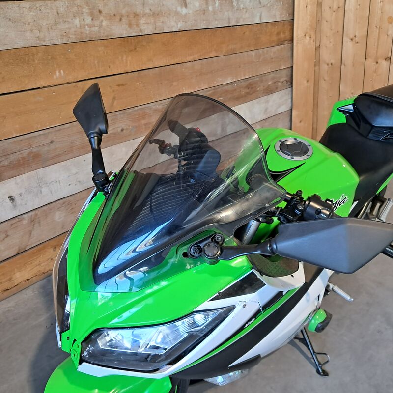 Motor, Kawasaki, Ninja 300 Anniversary Edition, 2015 – foto 10 – kavel bij Onlineveilingmeester, Heerenveen