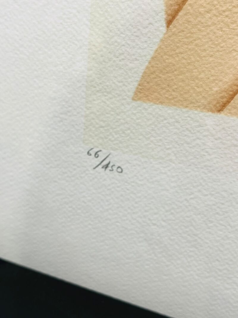 Tom Wesselman Lithograaf - Gesigneerd met certificaat – foto 4 – kavel bij Onlineveilingmeester, Heerenveen