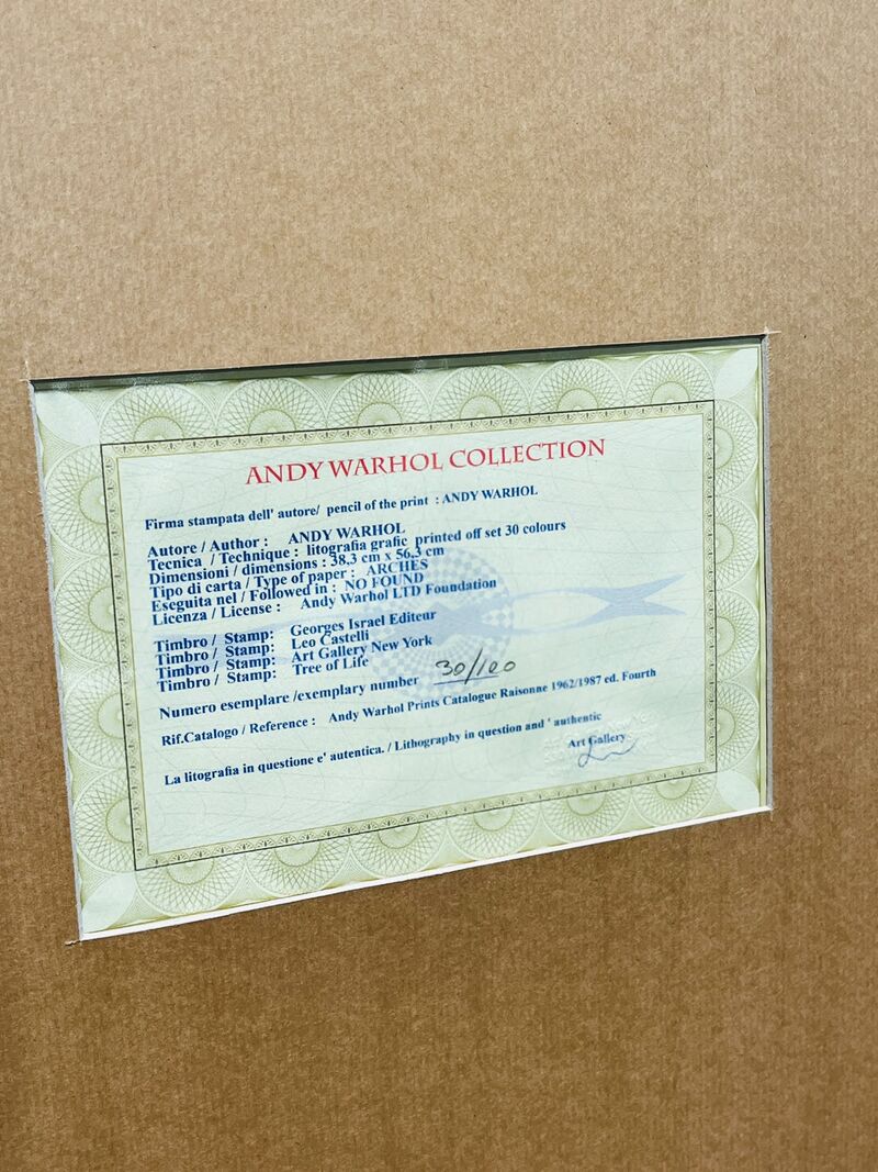 Andy Warhol Lithograaf - Gesigneerd met certificaat – foto 6 – kavel bij Onlineveilingmeester, Heerenveen