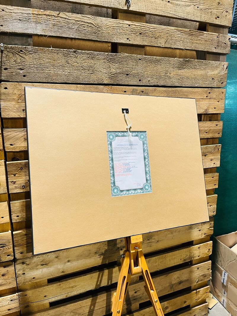 Tom Wesselman Lithograaf - Gesigneerd met certificaat – foto 5 – kavel bij Onlineveilingmeester, Heerenveen
