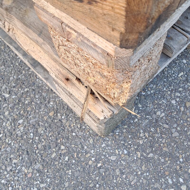 Ca. 70x Pallet, O.a Euro – foto 3 – kavel bij Domeinen Roerende Zaken, Groningen