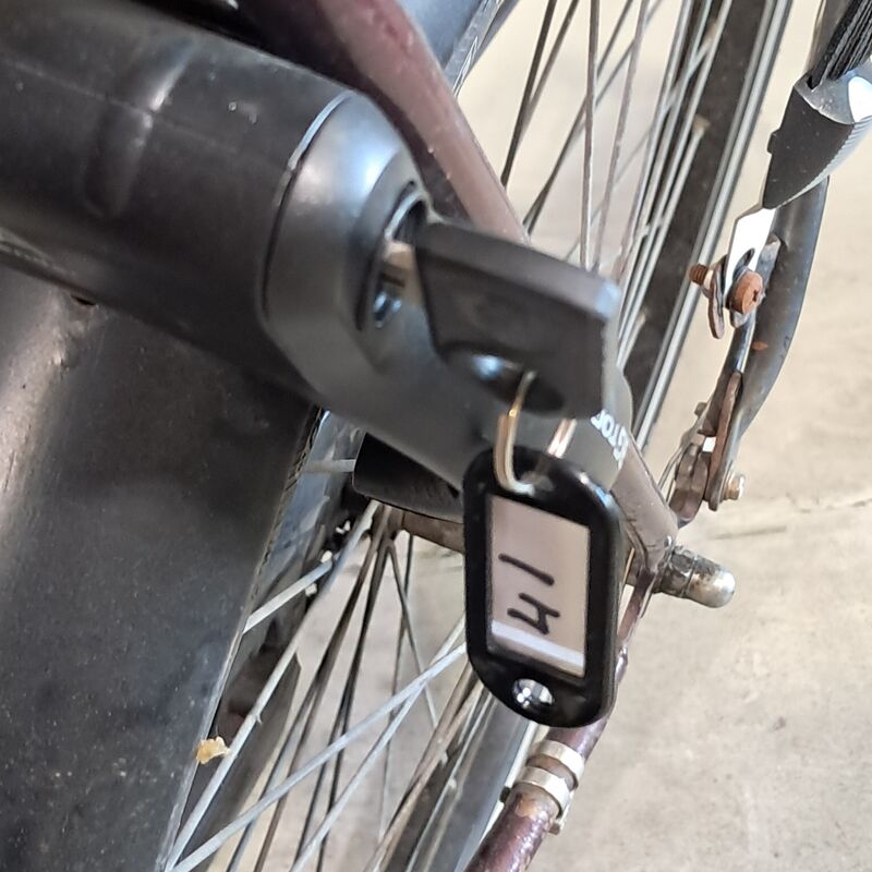 2x Damesfiets, Batavus, Personal Bike – foto 6 – kavel bij Domeinen Roerende Zaken, Groningen