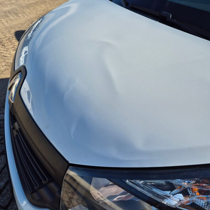 Bedrijfsauto, Renault, Trafic 1.6 dCi T29 L2H1, 2018 – foto 8 – kavel bij Domeinen Roerende Zaken, Soesterberg