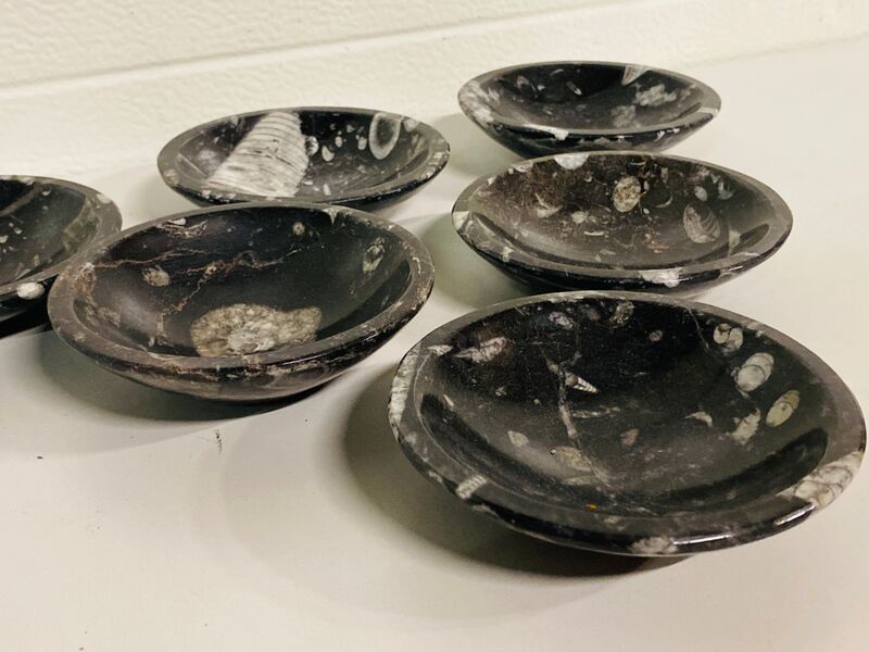 6x Orthoceras schalen – foto 4 – kavel bij Onlineveilingmeester, Gramsbergen