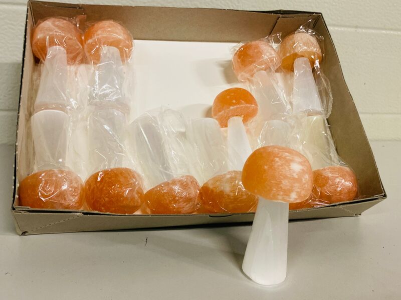 Ca. 12x Seleniet paddestoelen – foto 3 – kavel bij Onlineveilingmeester, Gramsbergen