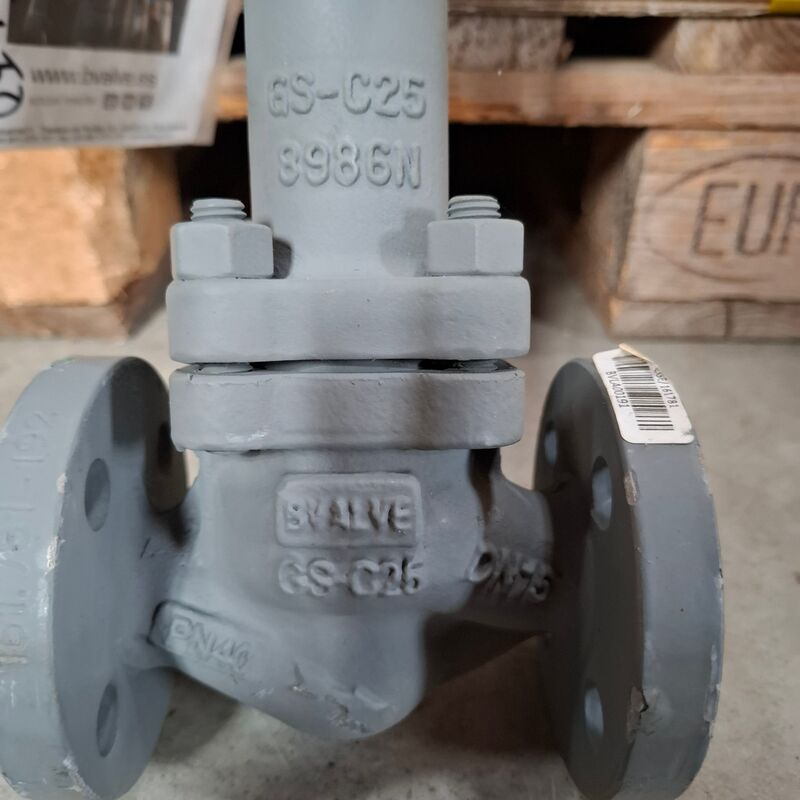 Balgafsluitklep Bvalve, BV2506X – foto 4 – kavel bij Onlineveilingmeester, Winsum
