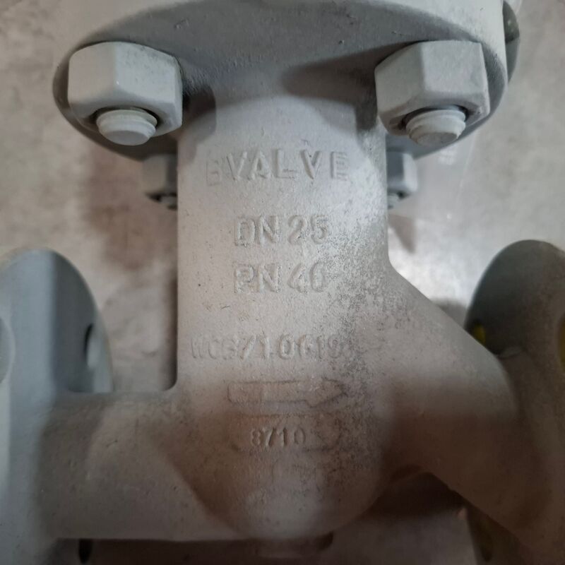 Balgklep Bvalve, 2506X – foto 6 – kavel bij Onlineveilingmeester, Winsum