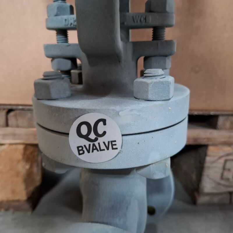 Balgklep Bvalve, 2506X – foto 3 – kavel bij Onlineveilingmeester, Winsum