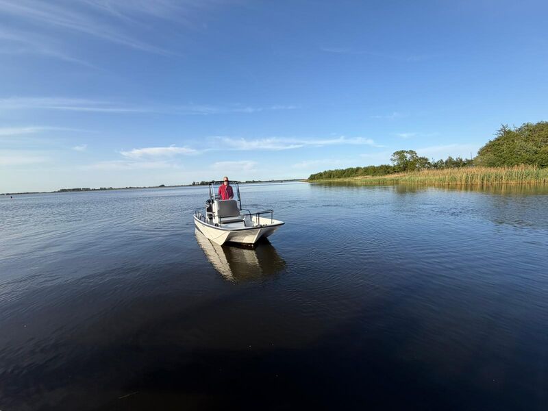 Boot met trailer, Boston Whaler, Montauk 17 Mercury 115 pk, 2017 – foto 4 – kavel bij Onlineveilingmeester, Heerenveen