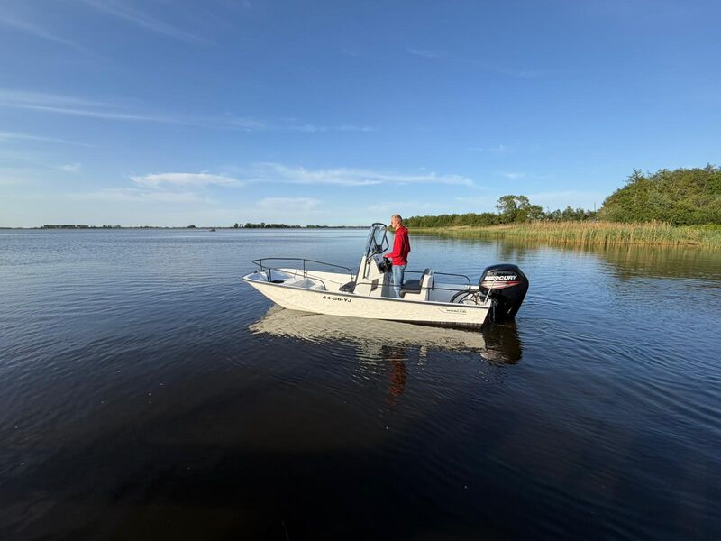 Boot met trailer, Boston Whaler, Montauk 17 Mercury 115 pk, 2017 – foto 2 – kavel bij Onlineveilingmeester, Heerenveen