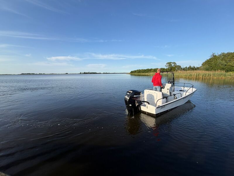 Boot met trailer, Boston Whaler, Montauk 17 Mercury 115 pk, 2017 – foto 3 – kavel bij Onlineveilingmeester, Heerenveen