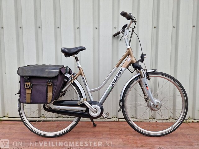 Go Double Power Giant Twist Electric Bike Battery Electric Ladies