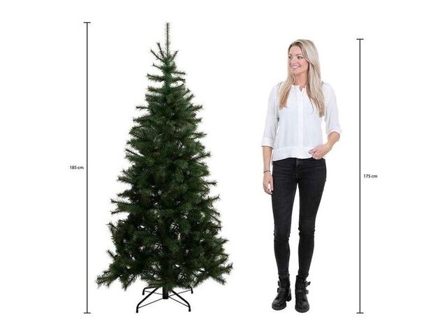 1x Black Box Trees Kingston Künstlicher Weihnachtsbaum – H185 x 102 cm –  Grüne Black Box Trees » Onlineauctionmaster.com